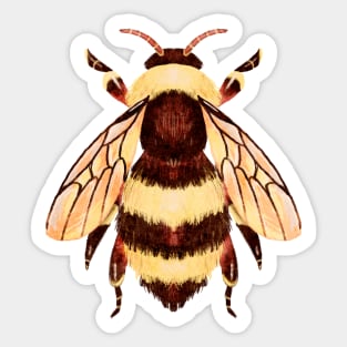 Cute and Fuzzy Honeybee Bug Sticker